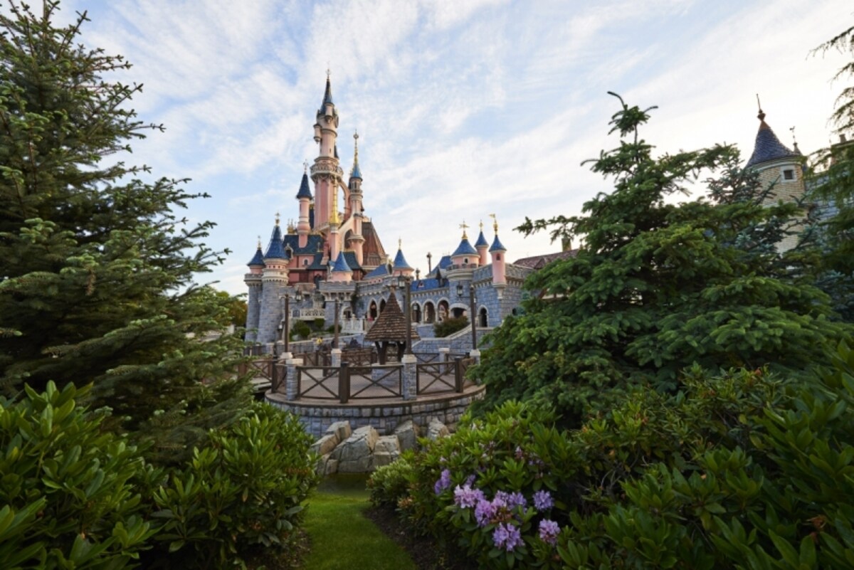 DLP