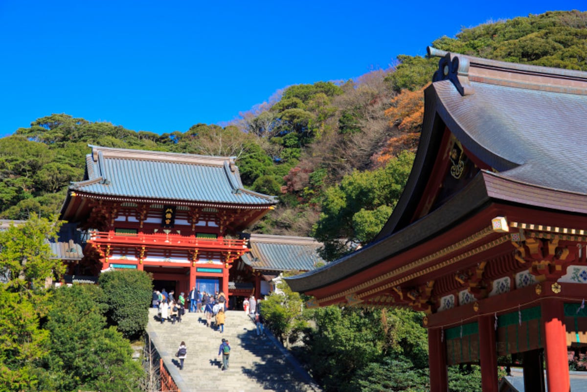 ​​​​​​​鶴岡八幡宮