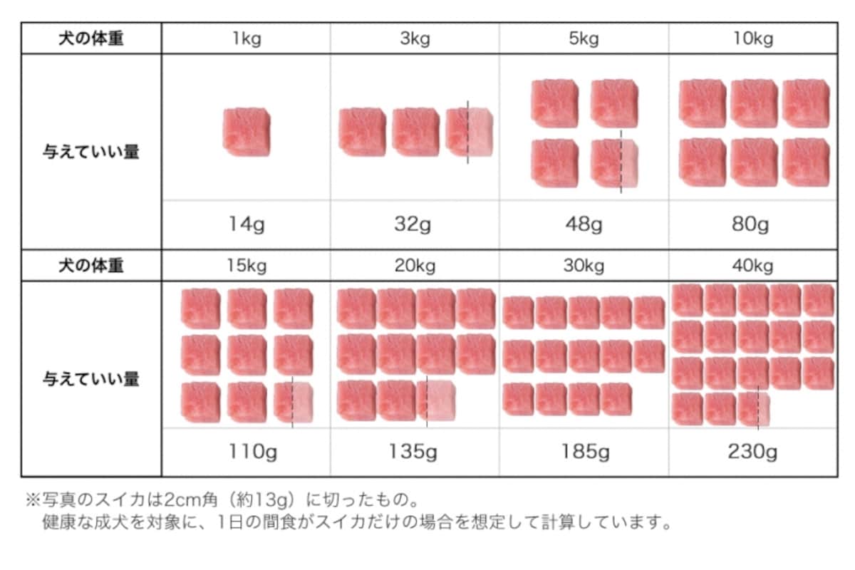 犬　スイカ　すいか　食べていい　食べちゃった　与えていい　量　食べちゃだめ