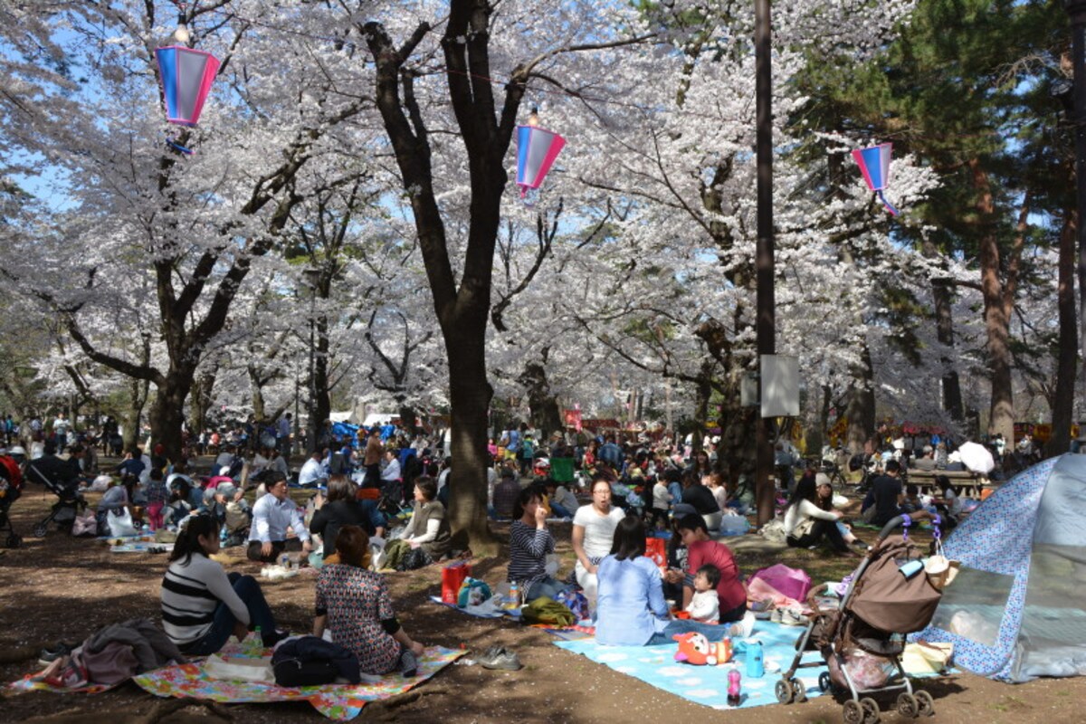 初春には花見客で埋め尽くされる自由広場