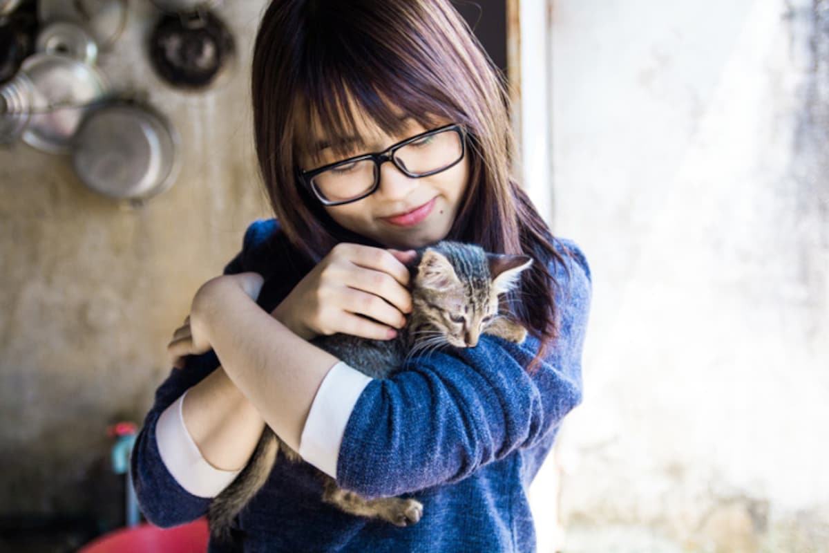 人と猫