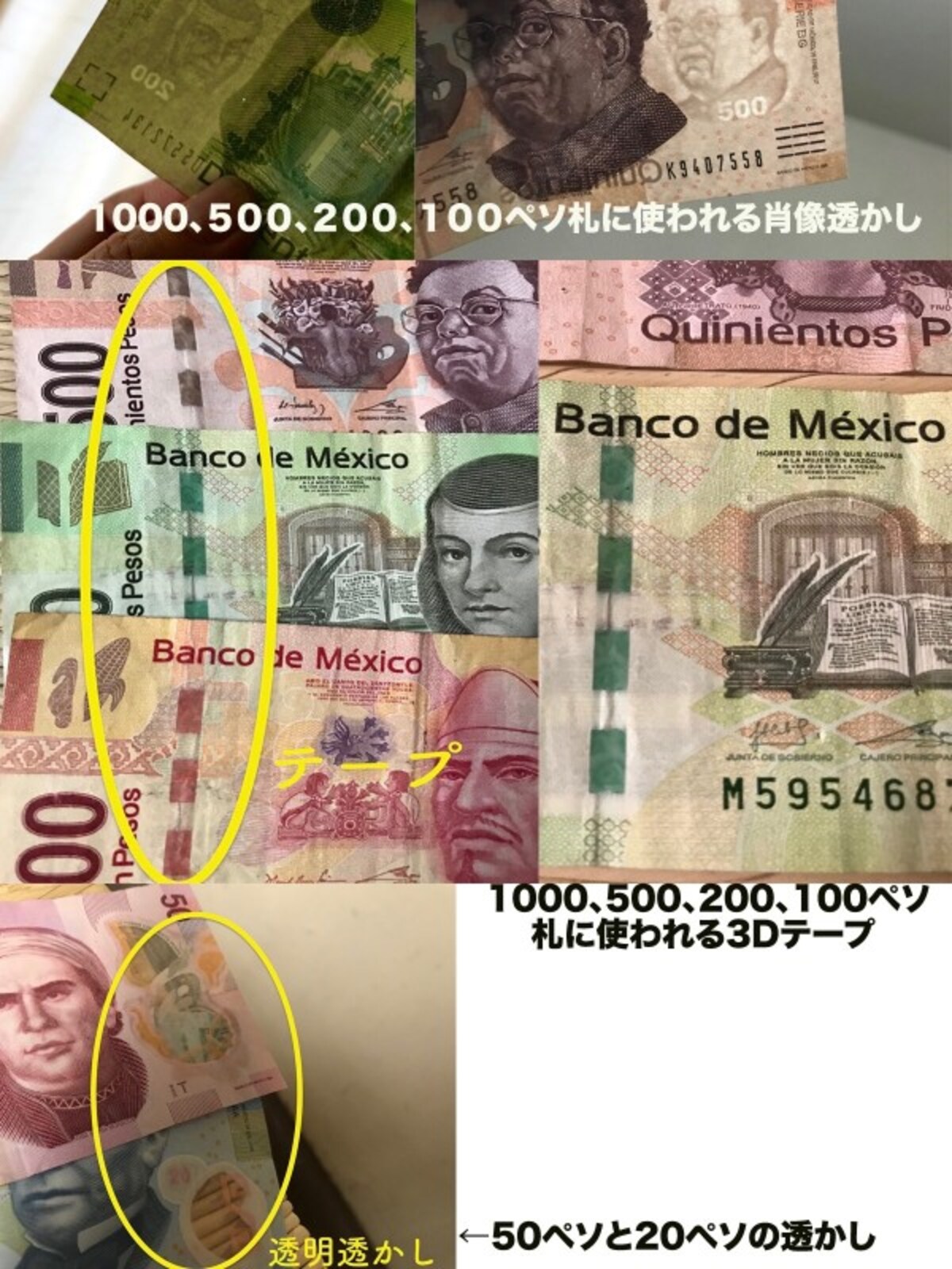 nisecheck