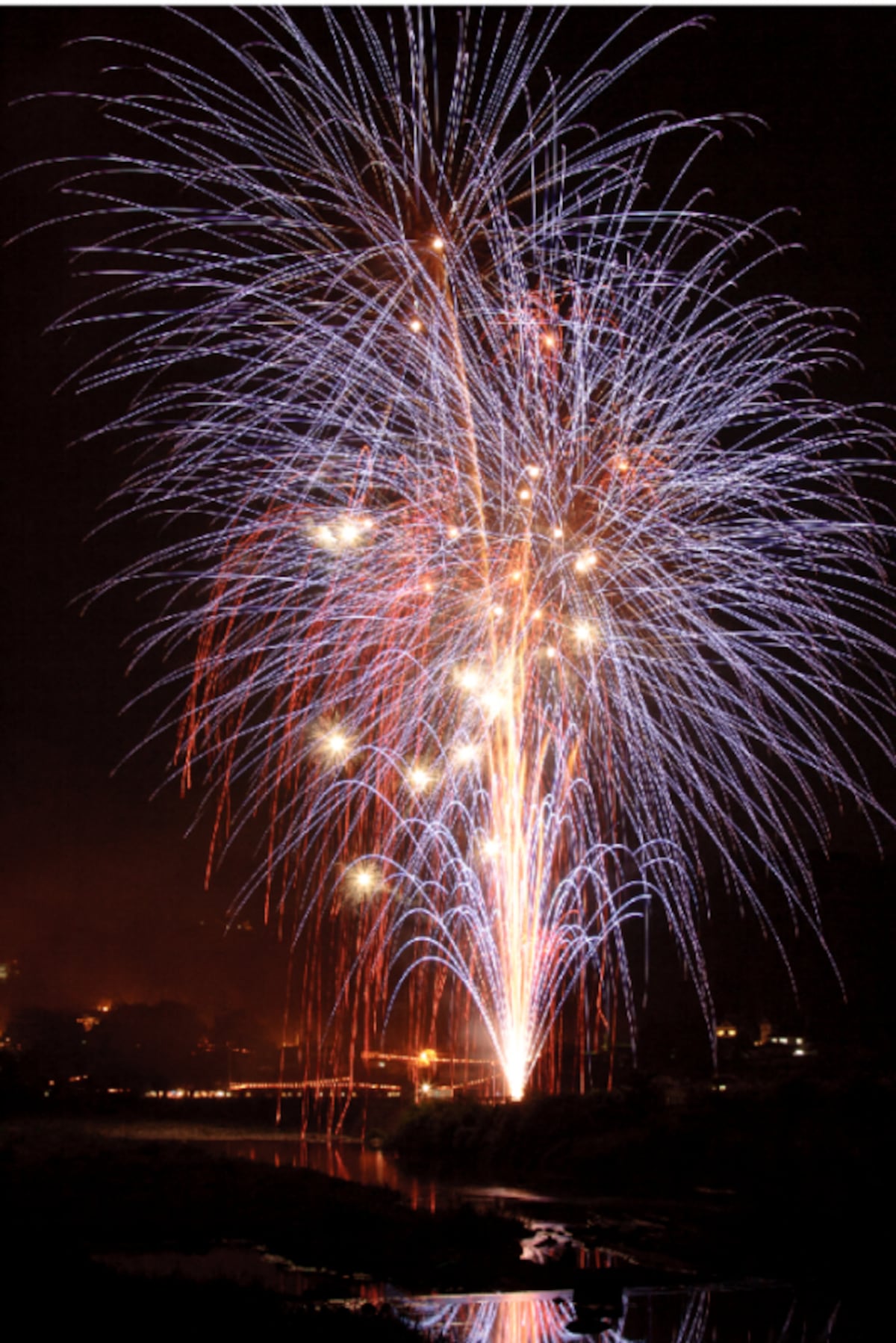 夜空に広がる鮮やかな花火 