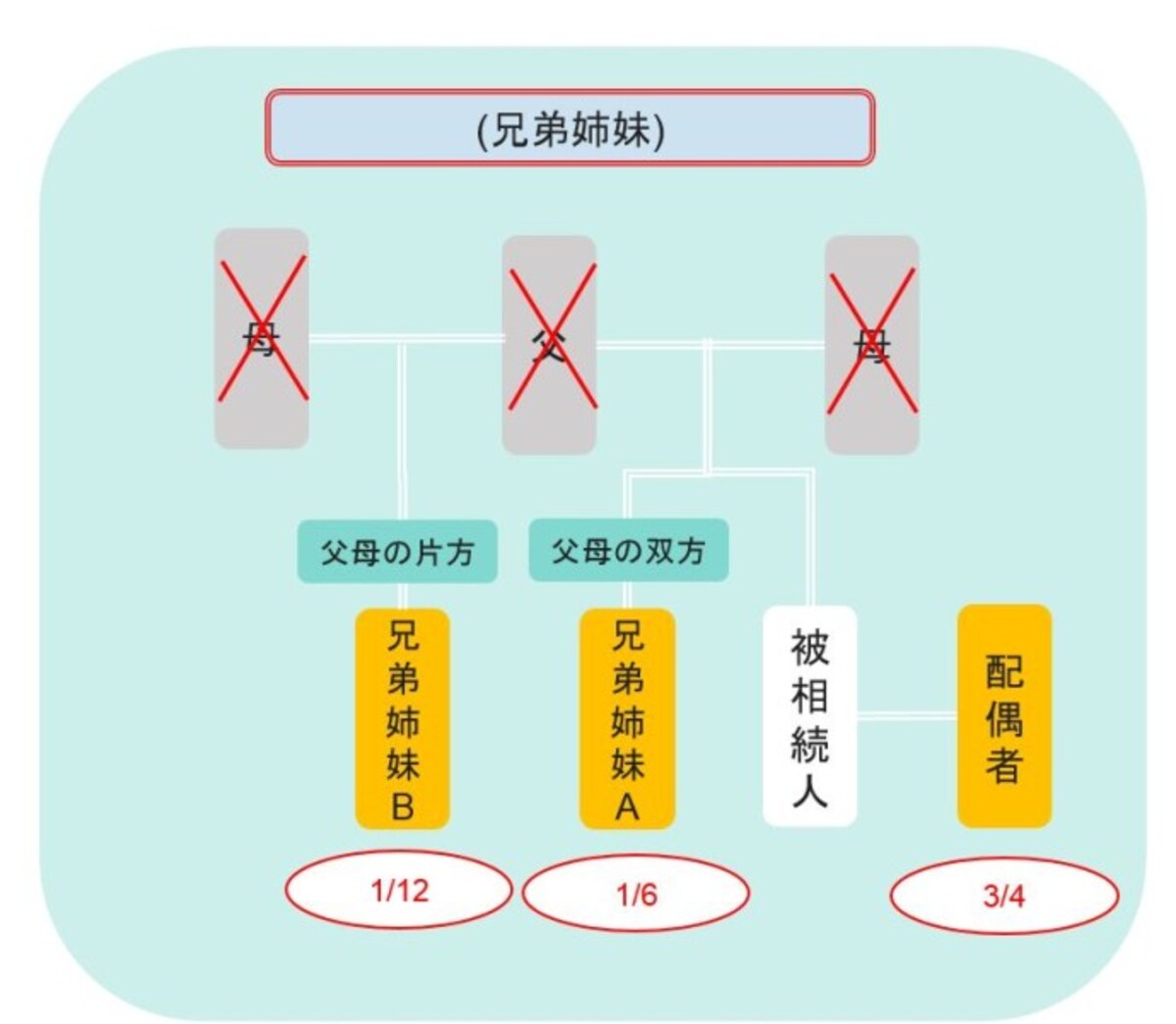配偶者と兄弟姉妹が相続人となる場合