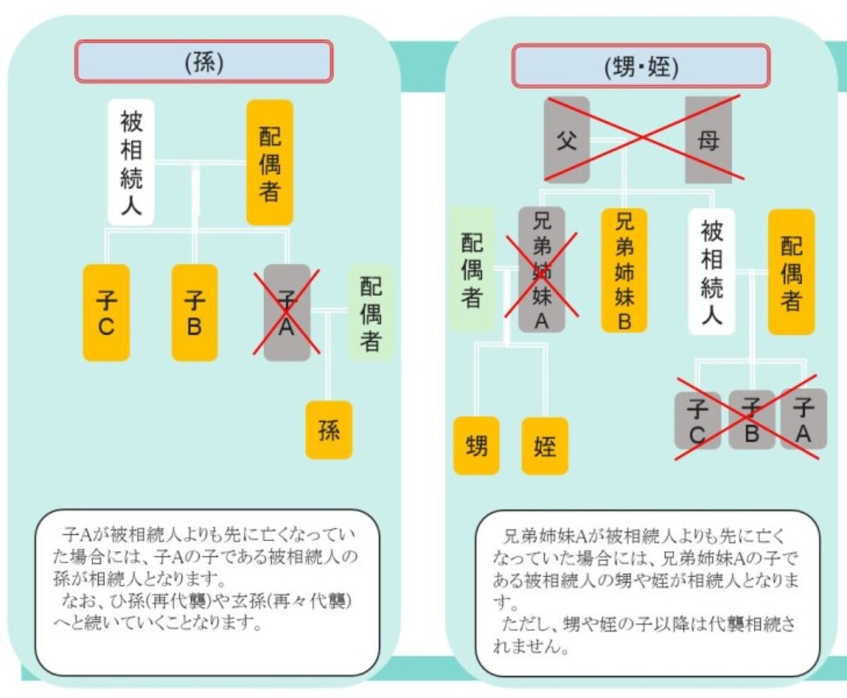 孫や甥などへの相続、代襲相続の相続分