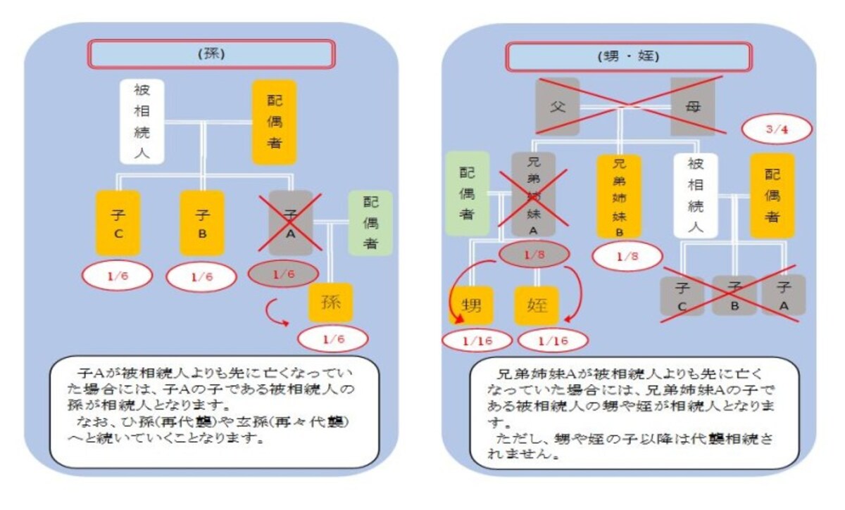 孫や甥などへの相続、代襲相続の相続分