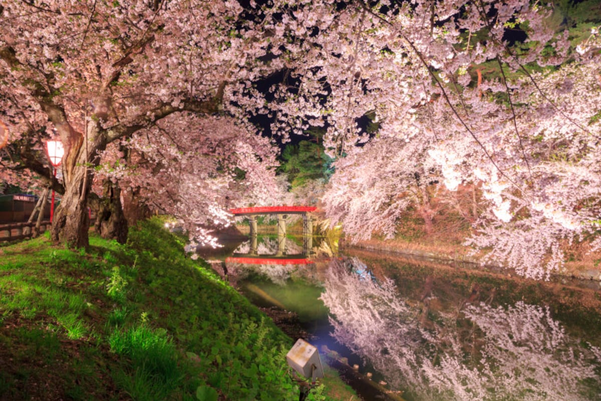 青森　観光　季節　春　弘前さくらまつり