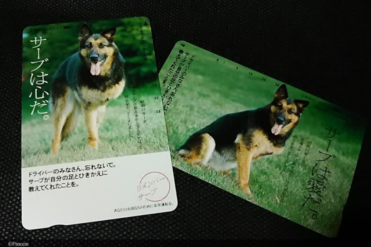 盲導犬サーブのテレホンカード