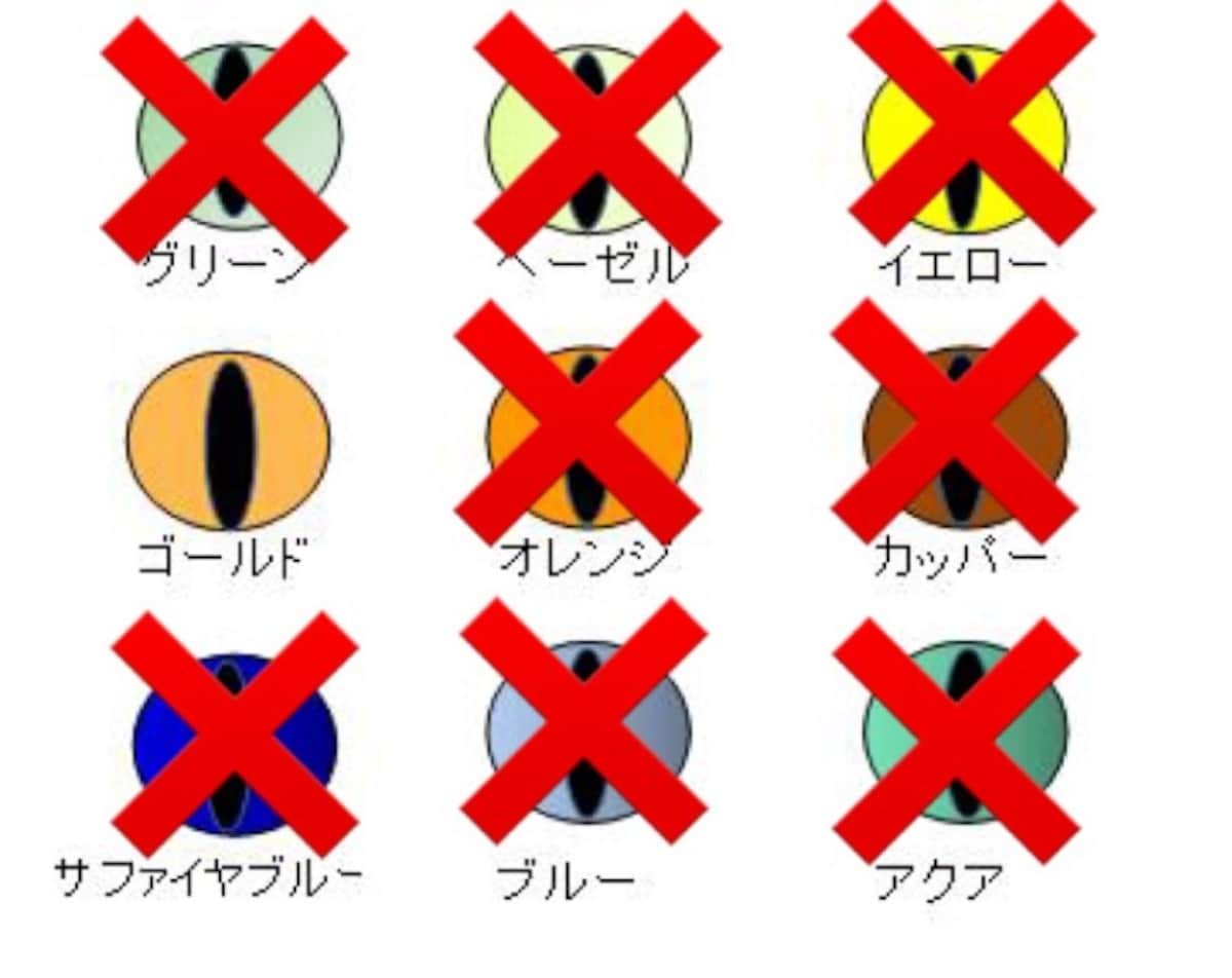 目色