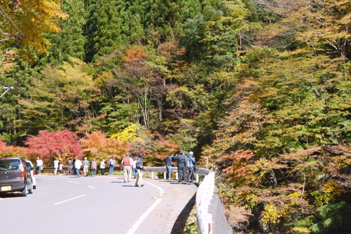 県道210号線は絶好のドライブコース（撮影2014年11月3日）