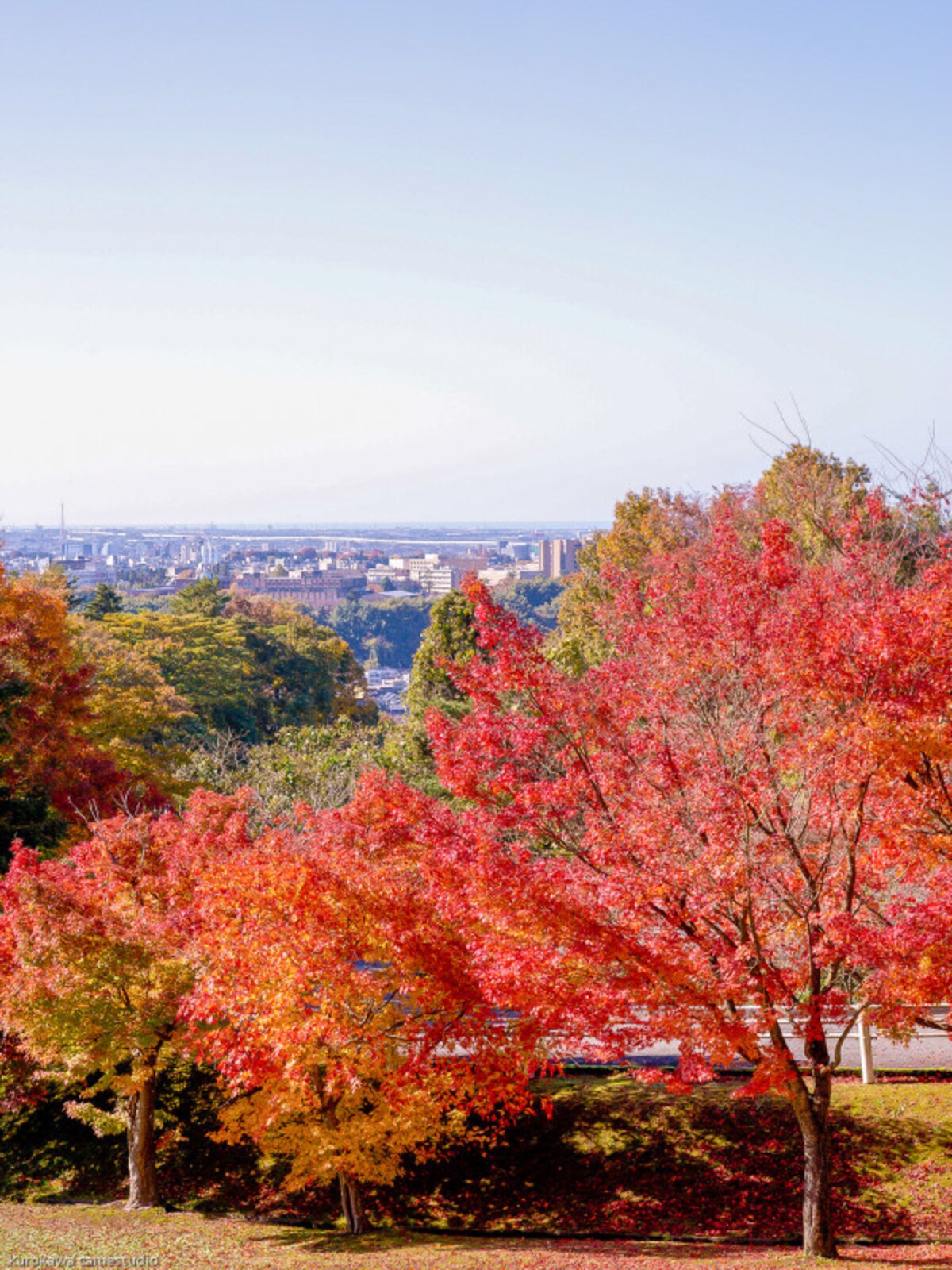 紅葉＠卯辰山公園