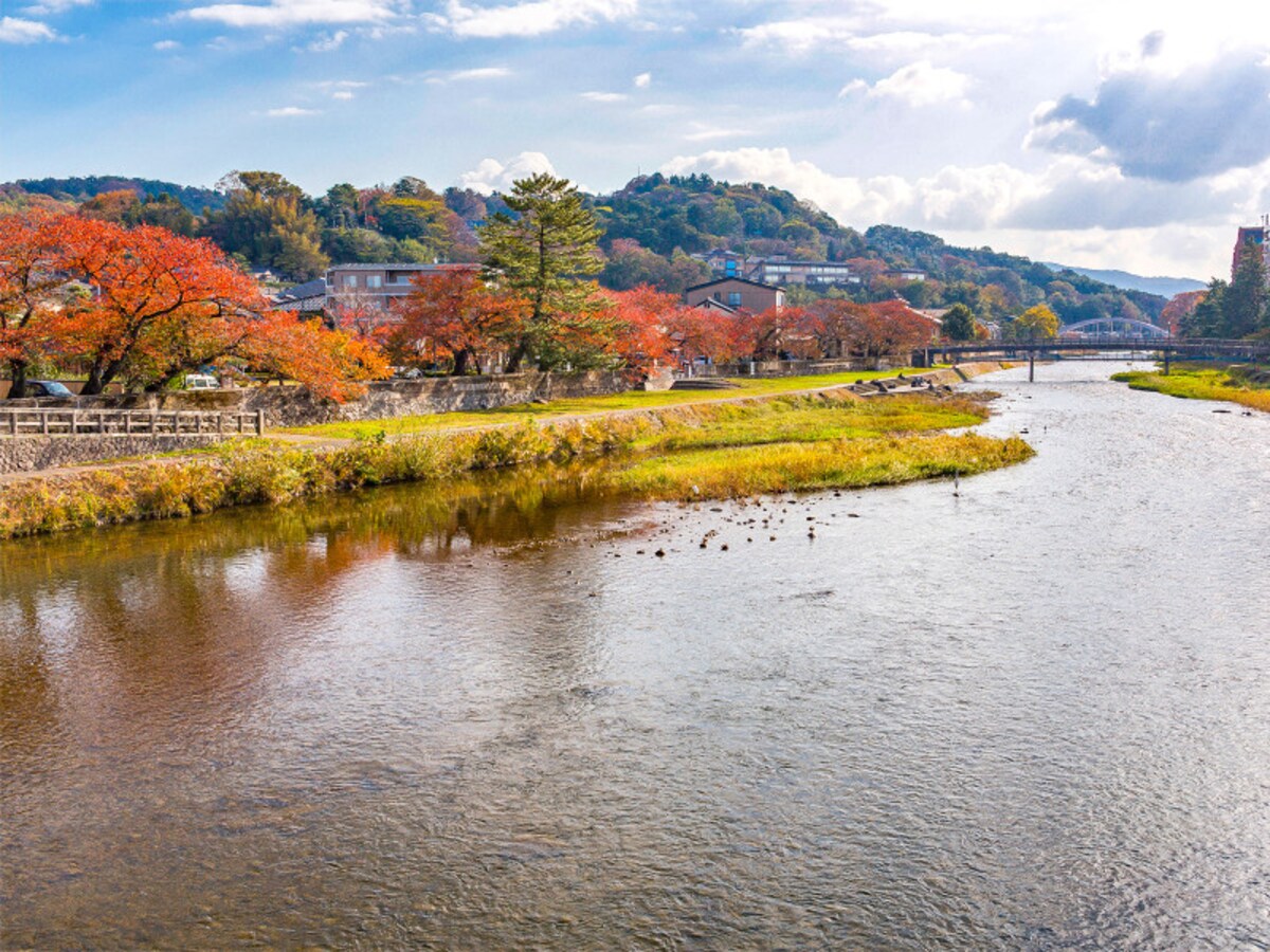 紅葉＠浅野川
