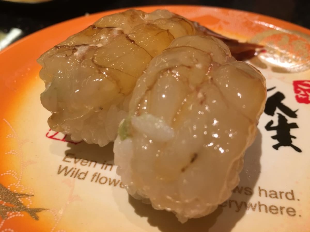 がすえび