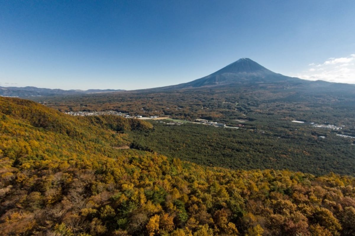 紅葉台展望台