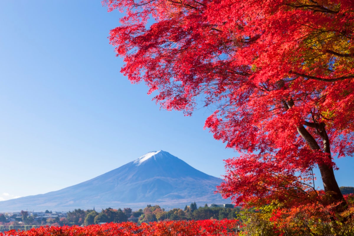 富士山と紅葉