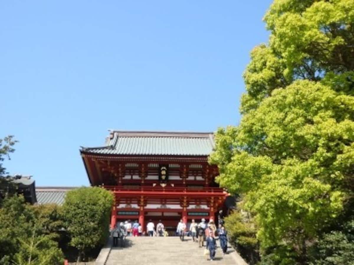 鎌倉の町を象徴するかのような鶴岡八幡宮