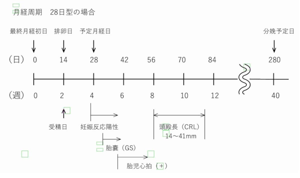 妊娠初期イベント