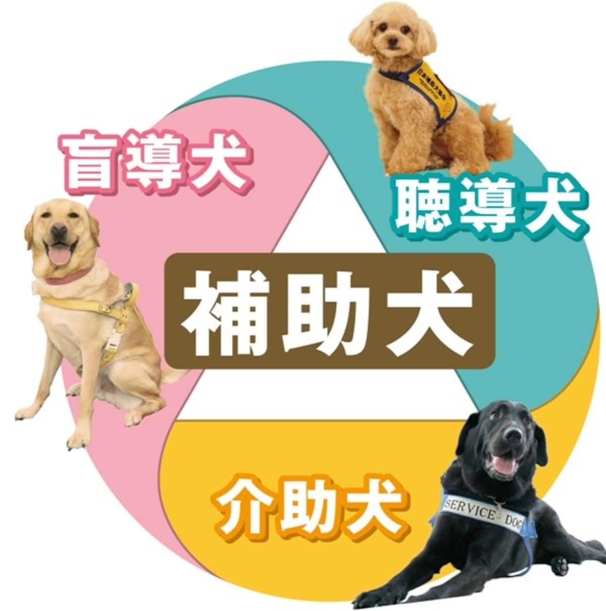 補助犬