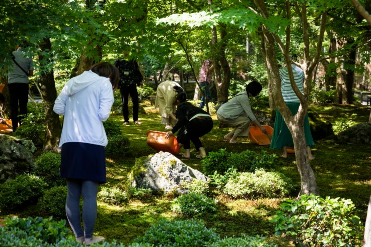 苔庭作務