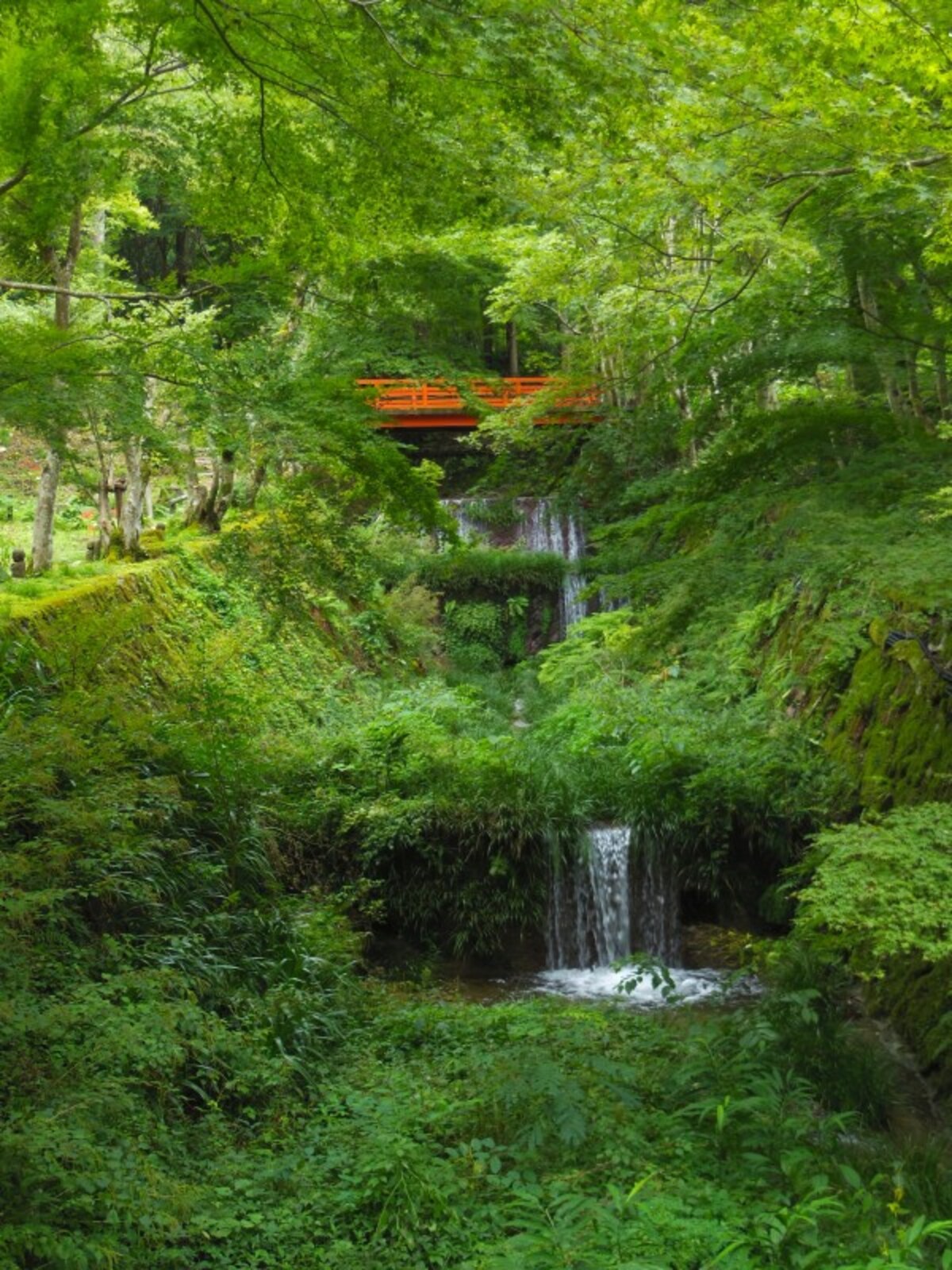 庭園