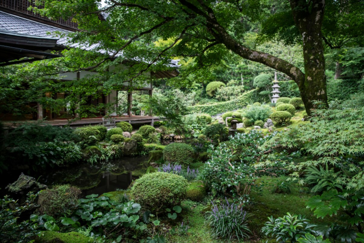 聚碧園