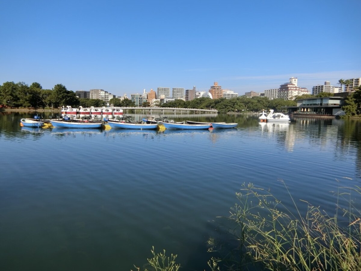 福岡市の憩いのスポット大濠公園