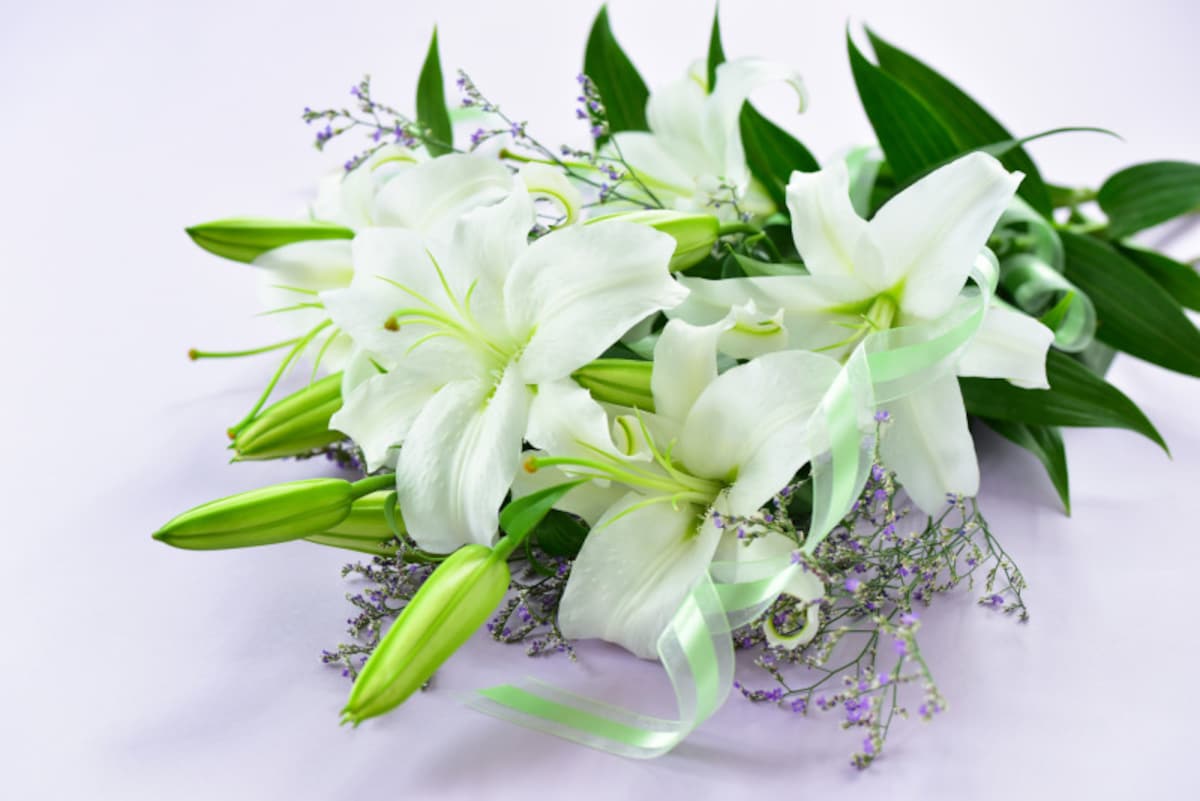 百合（ユリ）はいつの誕生花？