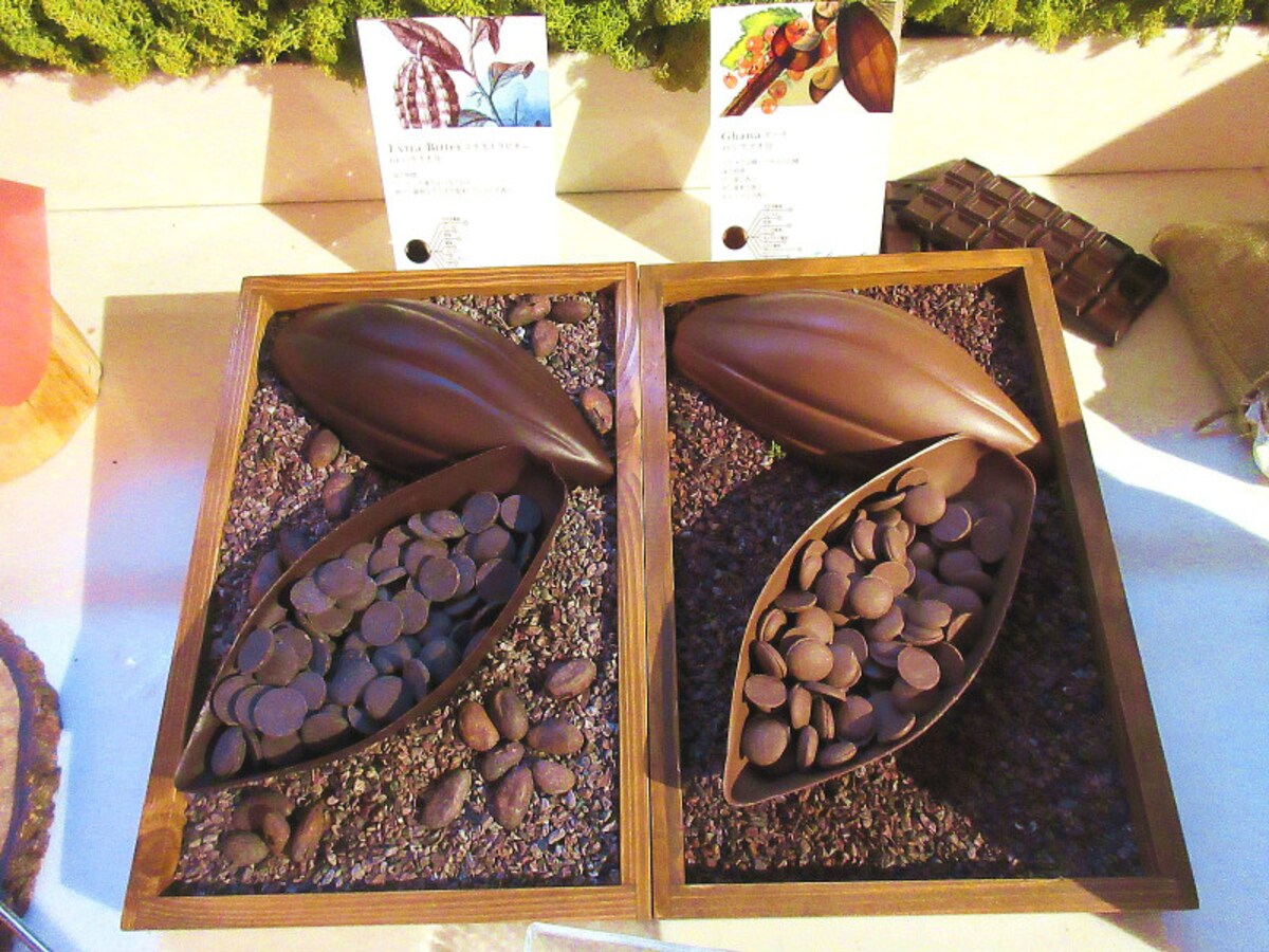 ANAインターコンチネンタルホテル東京 チョコレート食べ比べ