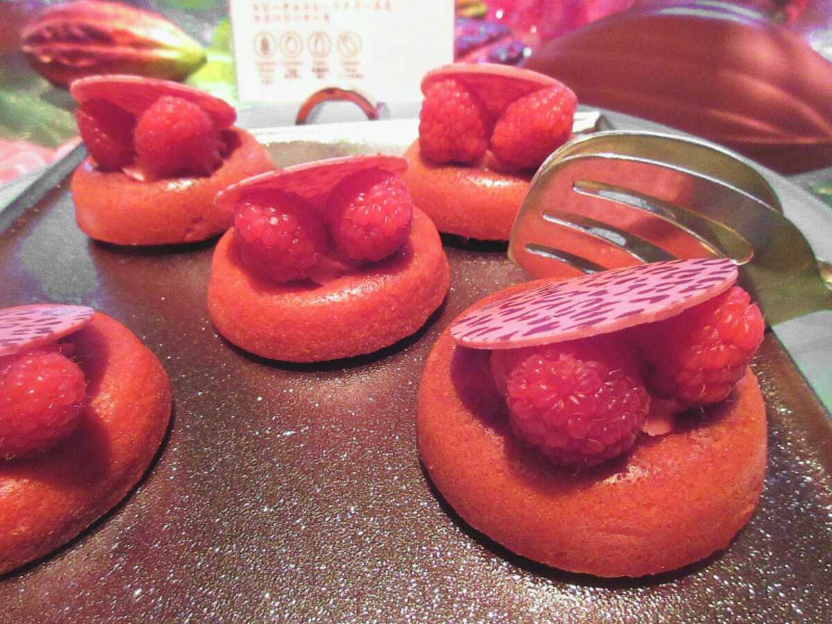 ANAインターコンチネンタルホテル東京 ルビーチョコレートクリームとラズベリーケーキ
