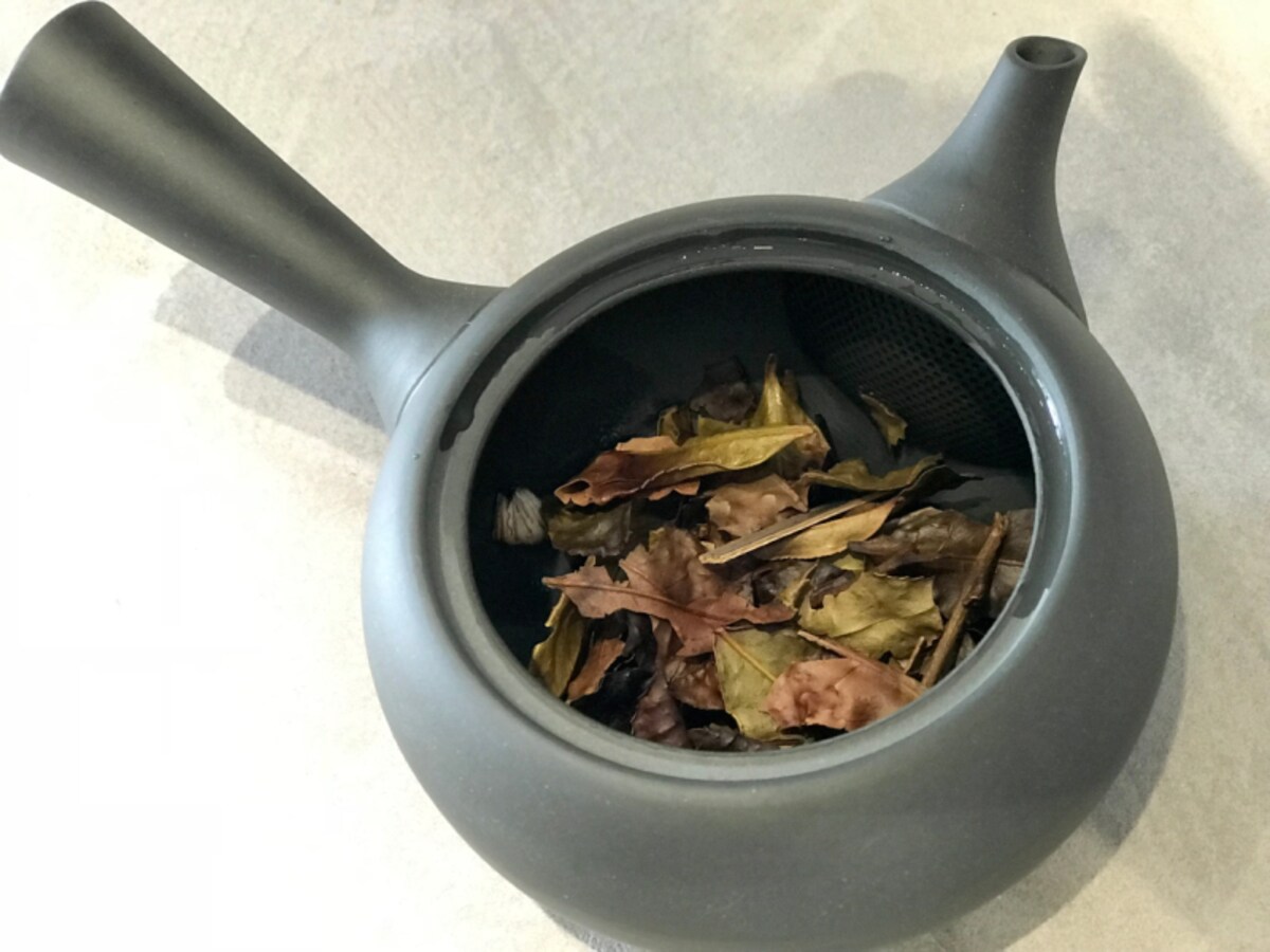 急須からも磯の香りが！急須で丁寧にお茶を淹れていただきます。