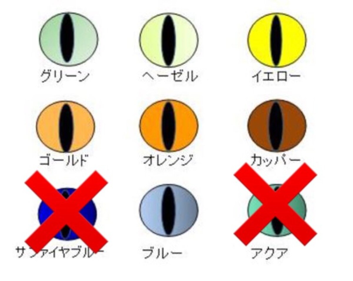 目色