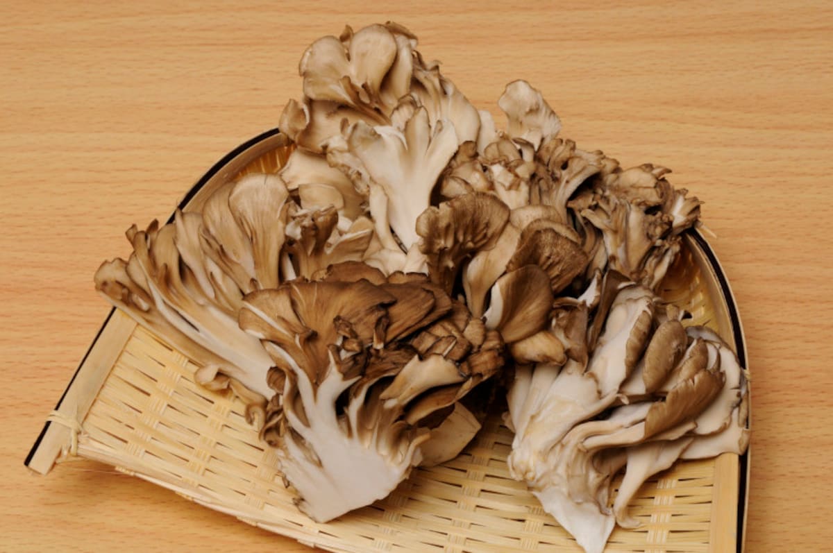 舞茸に漬け込むことでも肉は柔らかくなる