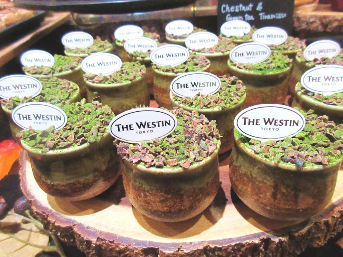 ウェスティンホテル東京「ザ・テラス」 マロン＆抹茶のティラミス