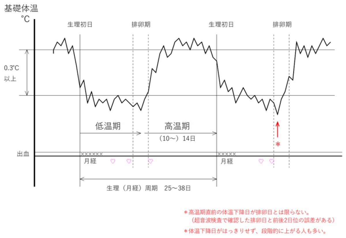 正常基礎体温