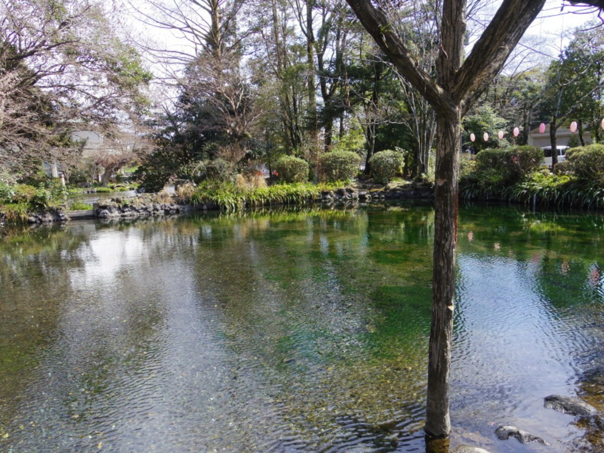 湧玉池