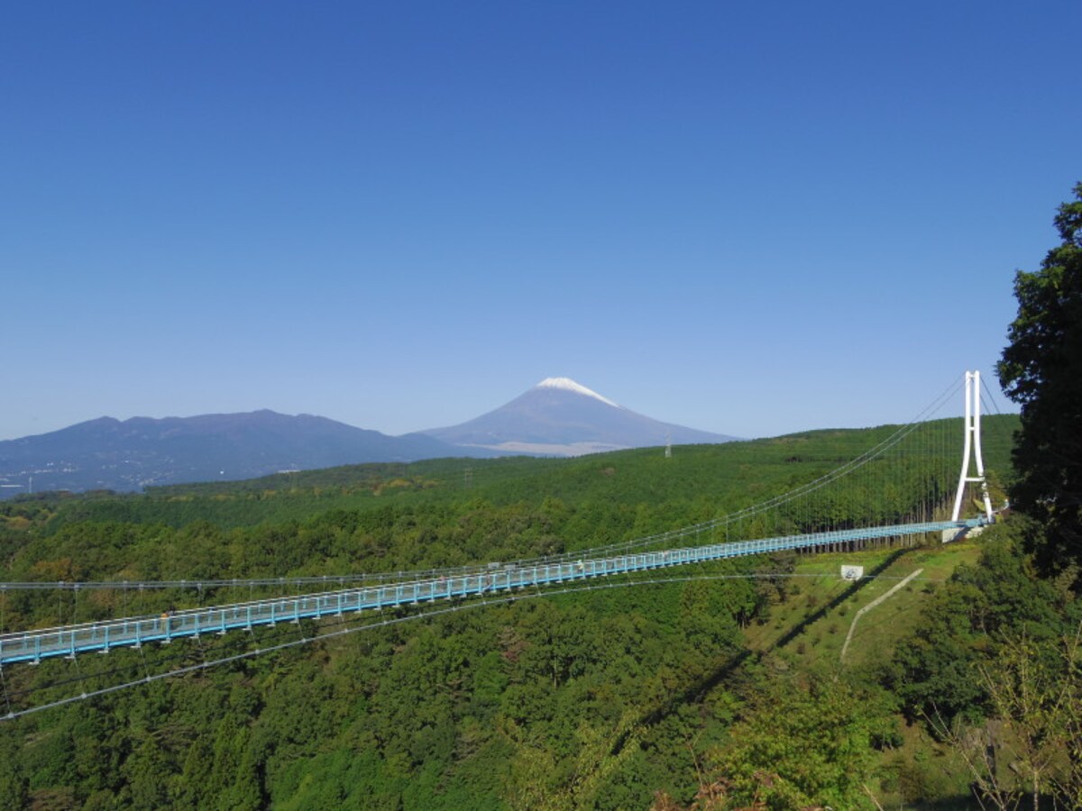 三島スカイウォークと富士山