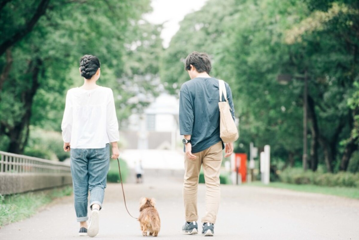 夫婦で一緒に散歩