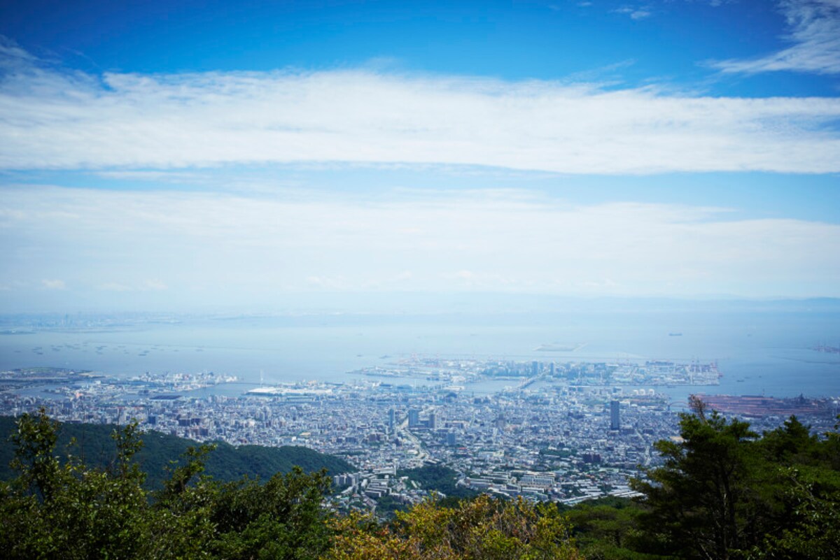 神戸の市街地と六甲アイランドを一望