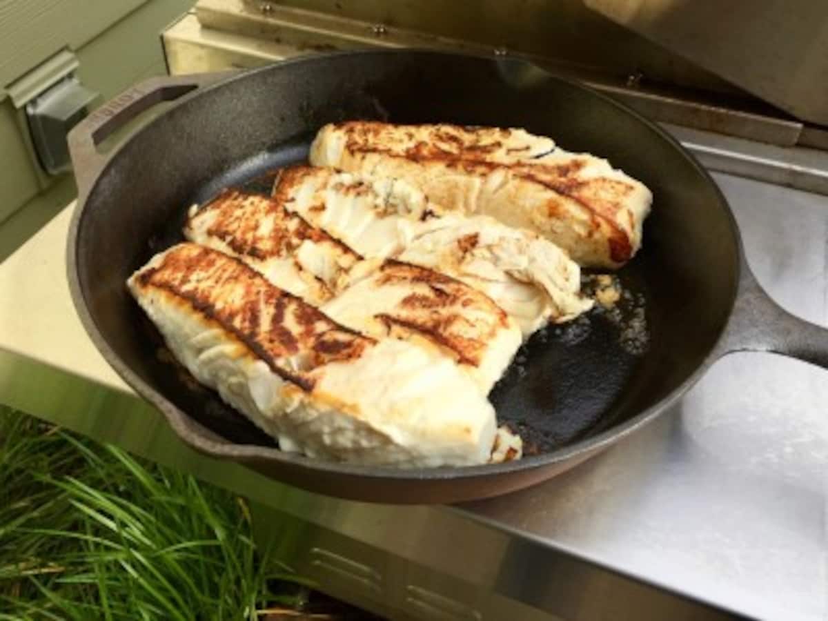 halibut