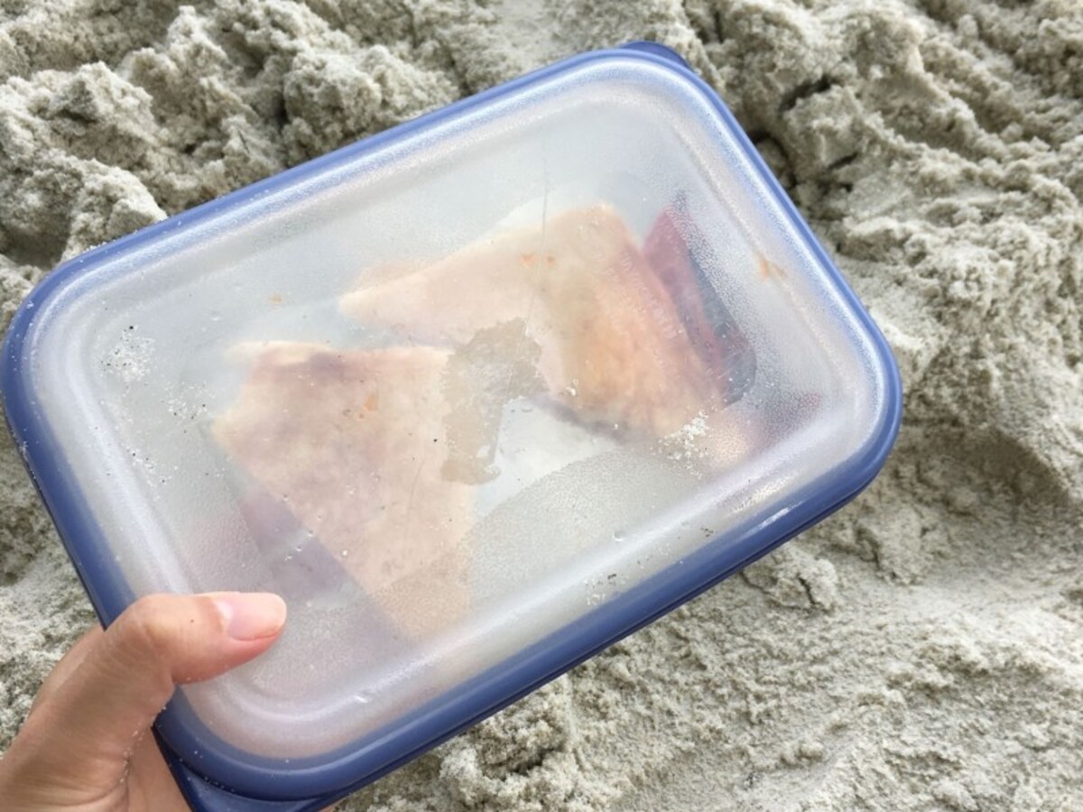 食べ残したものは、持ち帰れるかどうかを聞いてみましょう