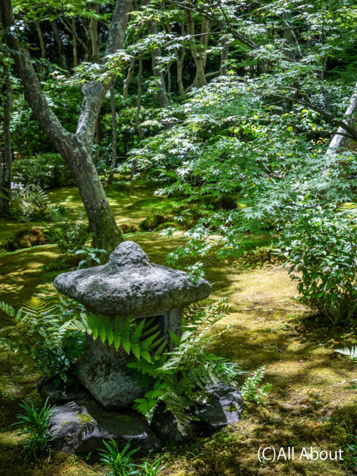 石燈籠