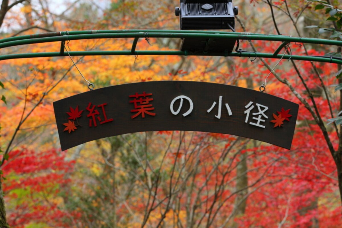 紅葉の小径