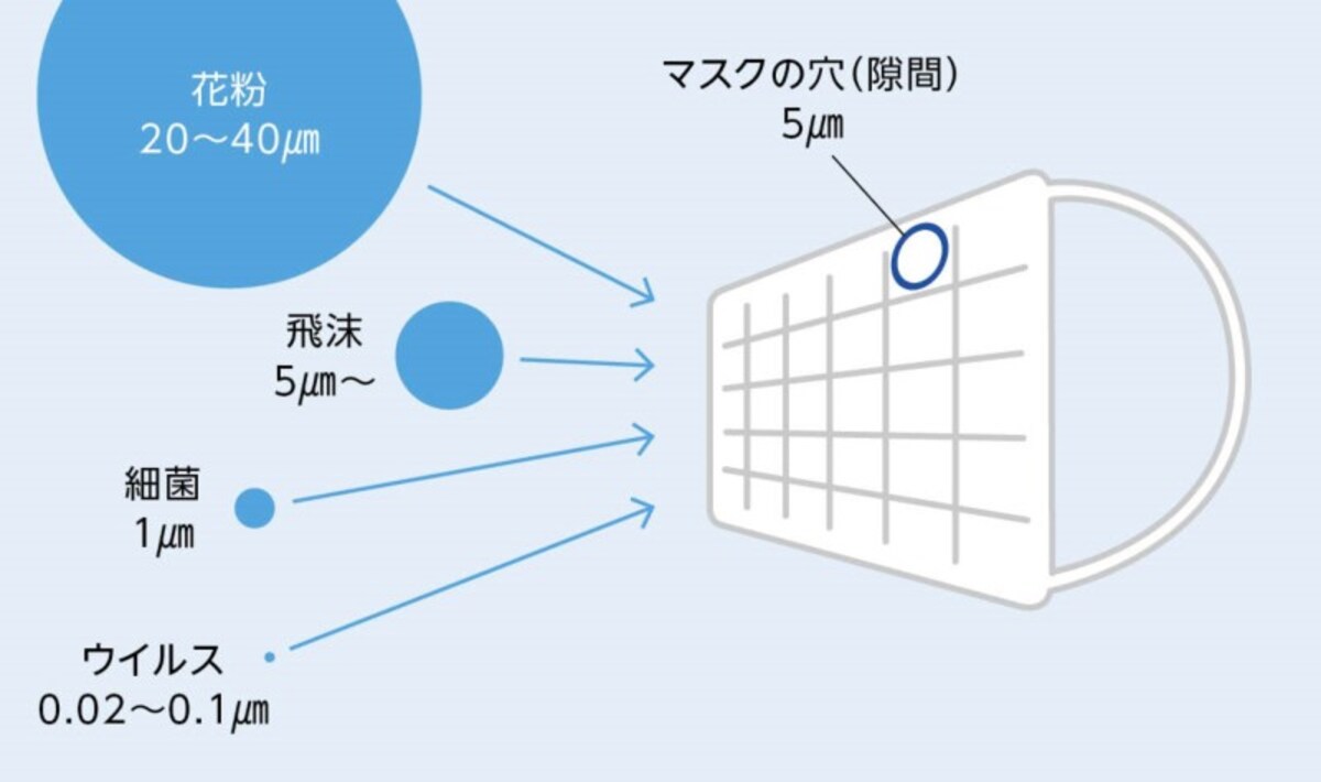 マスクの穴とウイルス・細菌の大きさの比較