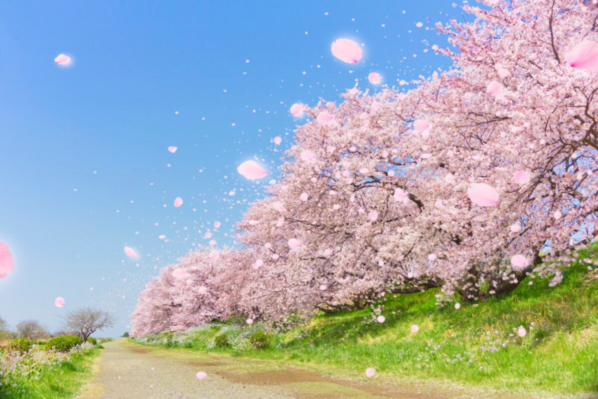 数秘＆カラー4月