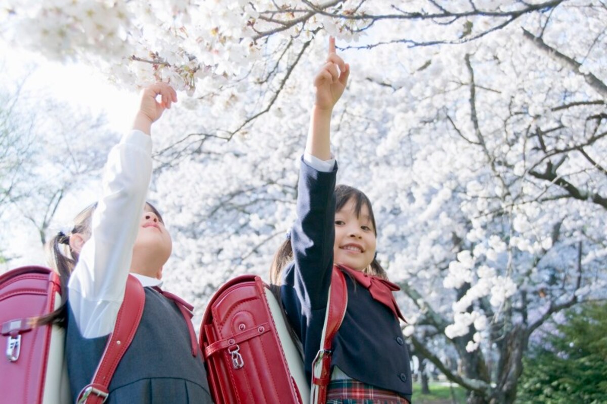 ほとんどの子どもが、何らかの習い事に通っている昨今、少子化と共に、一人の子どもにかける教育の熱は高まってきていると言えるでしょう