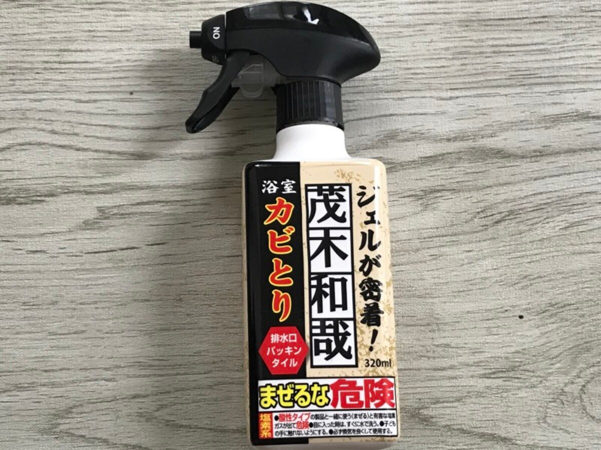 茂木和哉「浴室カビとり」
