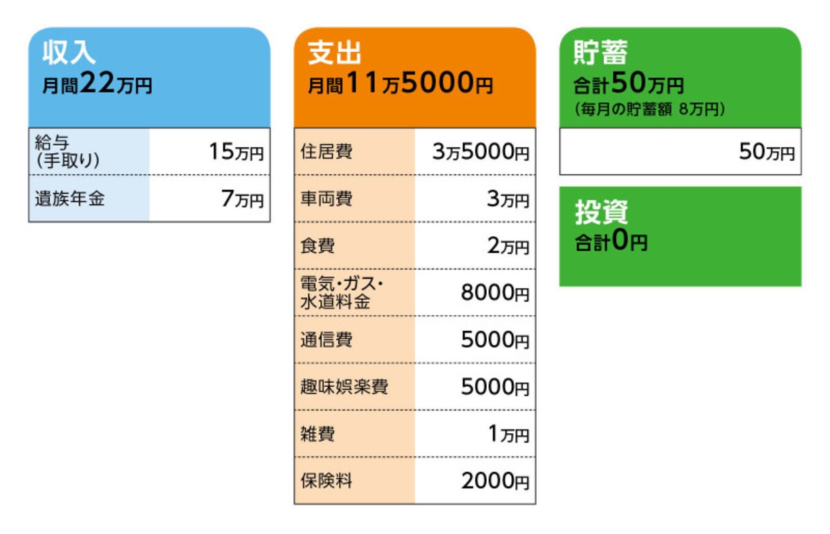 相談者「ちゃちゃ」さんの家計収支データ