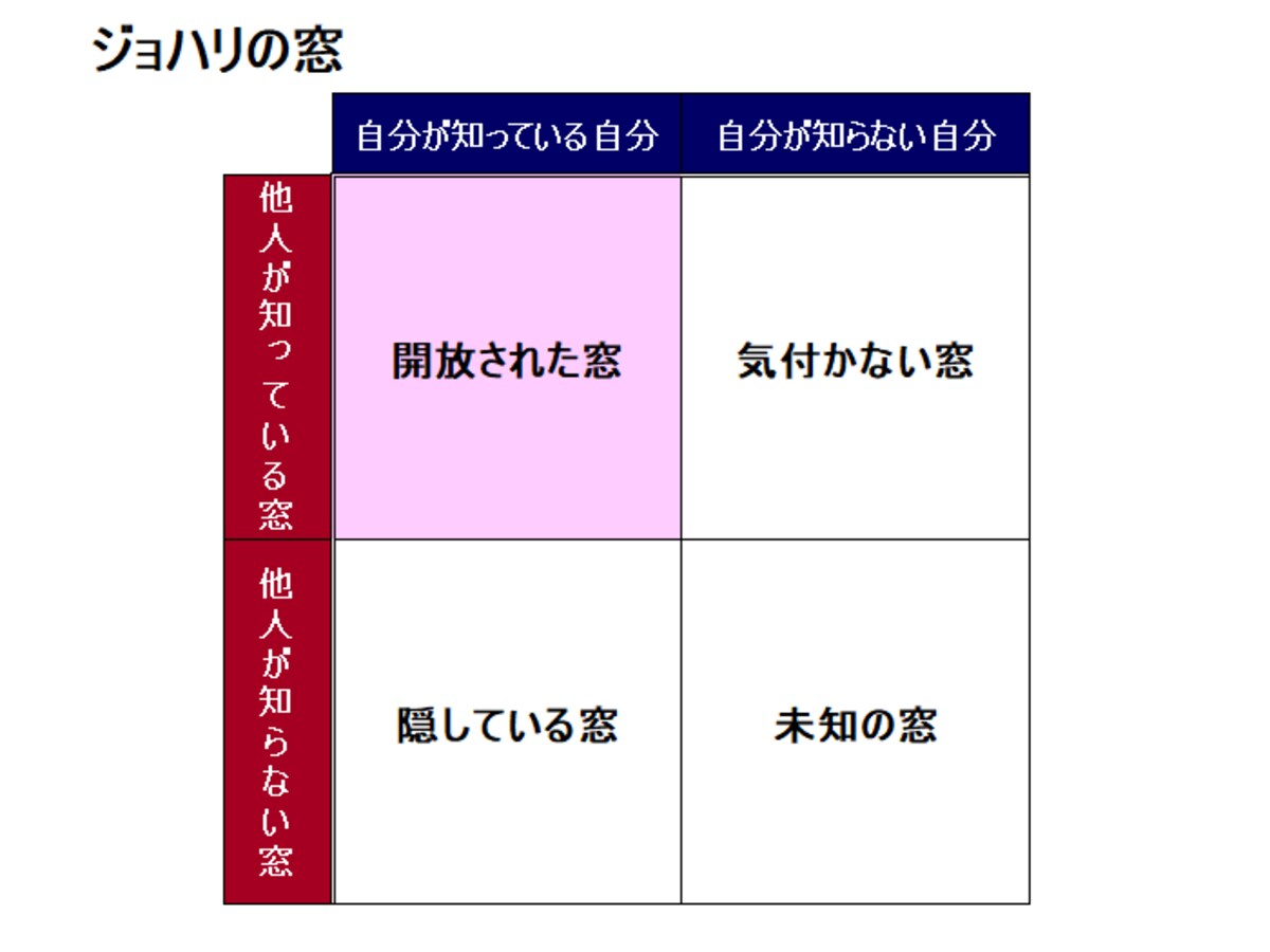 キャリアパスポート　ジョハリの窓　自己分析