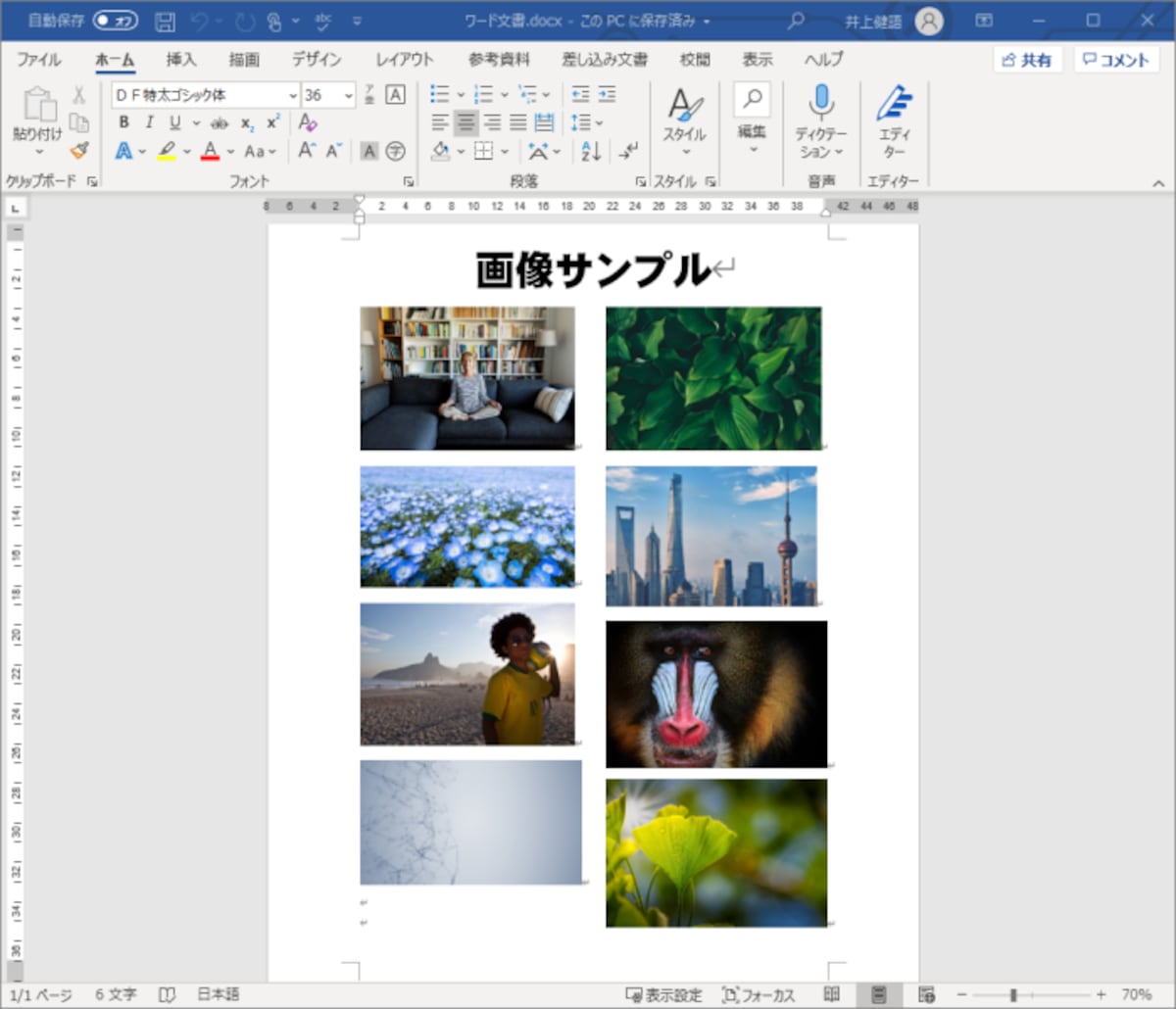 もとのワード文書です。文書中に画像を貼り付けています。この画像ファイルだけを抽出してみます。