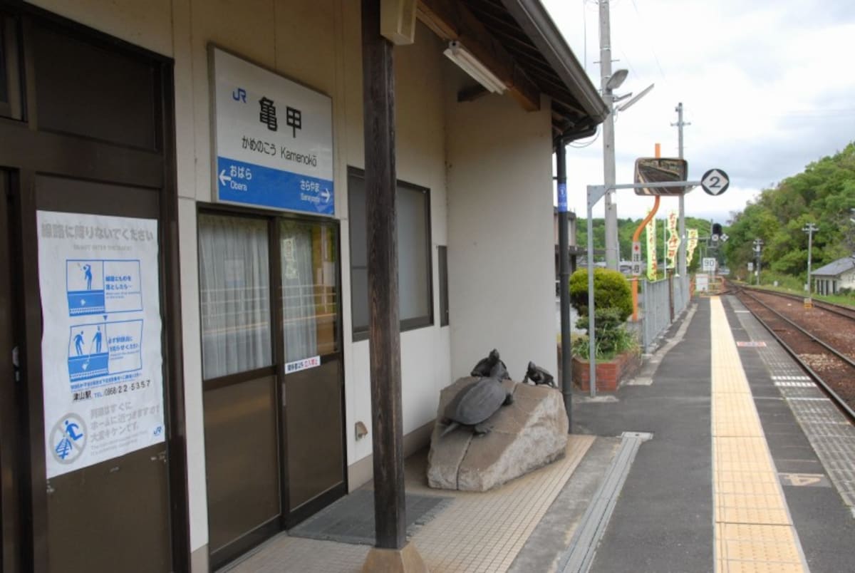 ホームにも亀